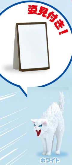 white cat mirror
