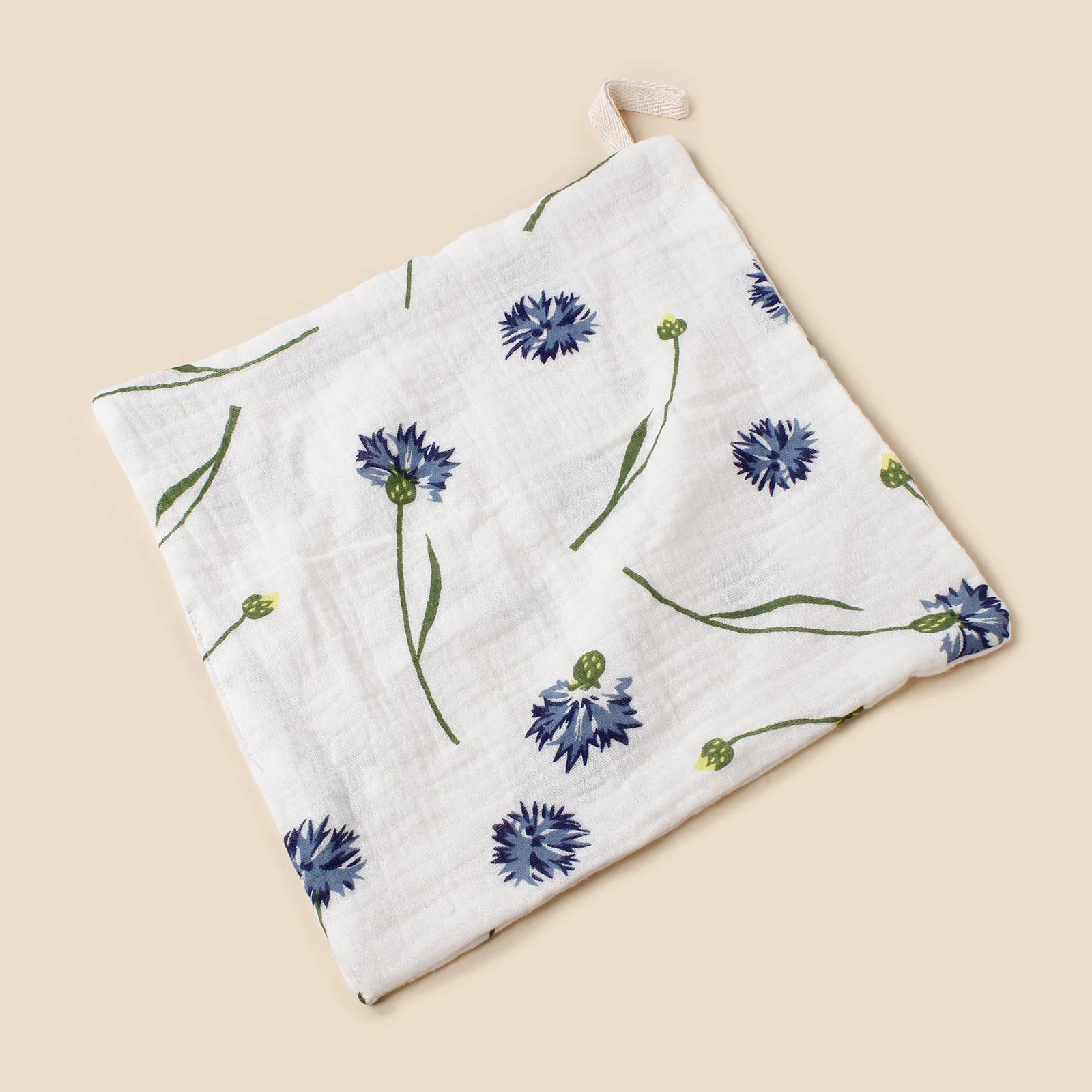 Blue dandelion