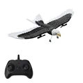 rc foam plane