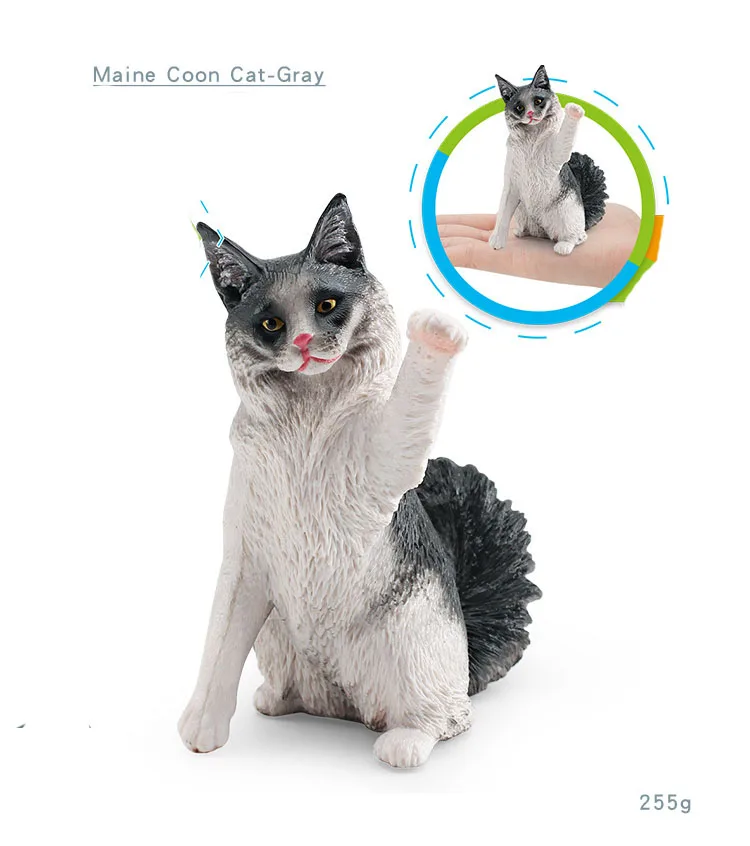 2331 Maine Coon