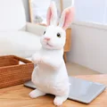 Sitting White Rabbit