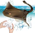 manta fish