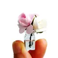 white-pink-rose