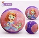 Princess C 22CM