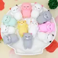 Random Cat 5PCS