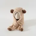 Caqui