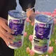 Gengar 24