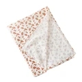 5-80x60cm