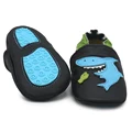 shark outdoor