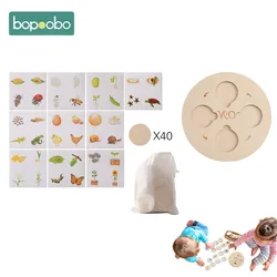 Rompecabezas Montessori 3D de madera ciclos educativos para ninos