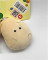 potato
