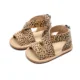 Leopard Brown