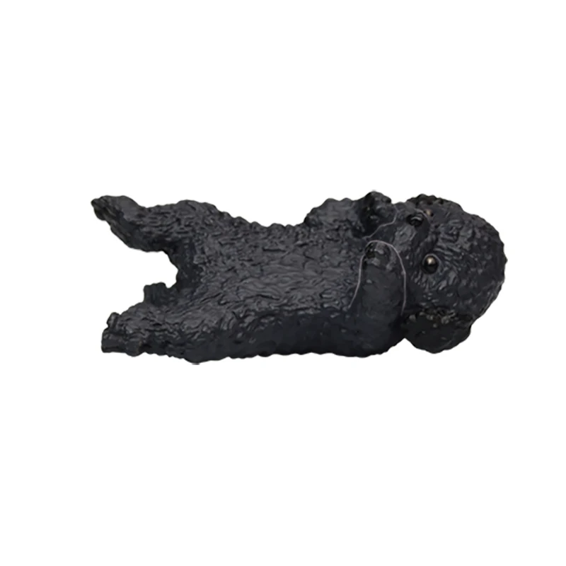 Toy Poodle