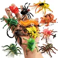 12pcs Insect -L
