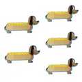 Dachshund