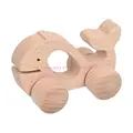 whale