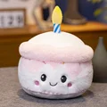 25cm cake