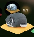Black Shiba