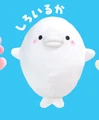 Beluga whale