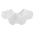 Kapok on white backg