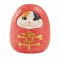Daruma Cat