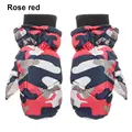rose red