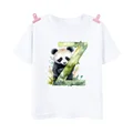 TK602036-KSTWH