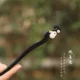 14-MuZi-GuanYuTu