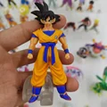 Goku HG 48