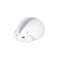 gray white hamster