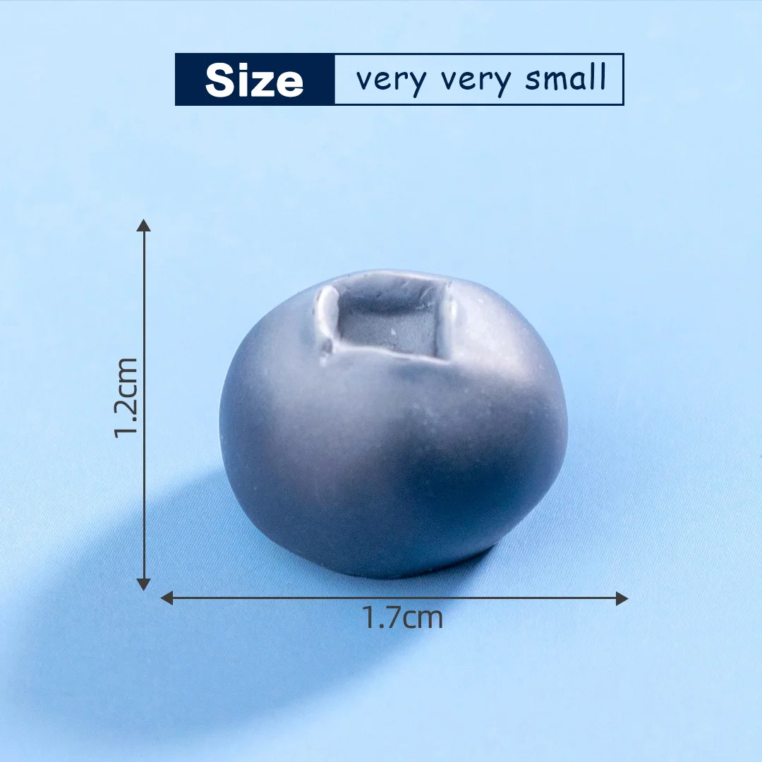 10Pcs Blueberry