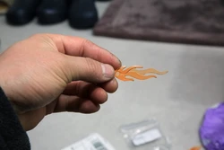 Imagen de reseña 5