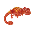 Grasp red