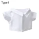 Type 1