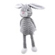 gray rabbit