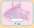 Shark