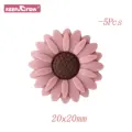 5pcs Blush