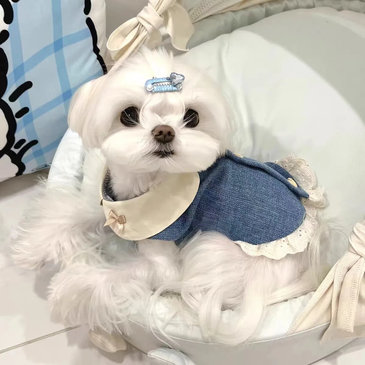 Gato perro primavera Denim Flip Collar bordado falda de encaje perro ropa para mascotas ropa para cachorros maltés chaleco para perros