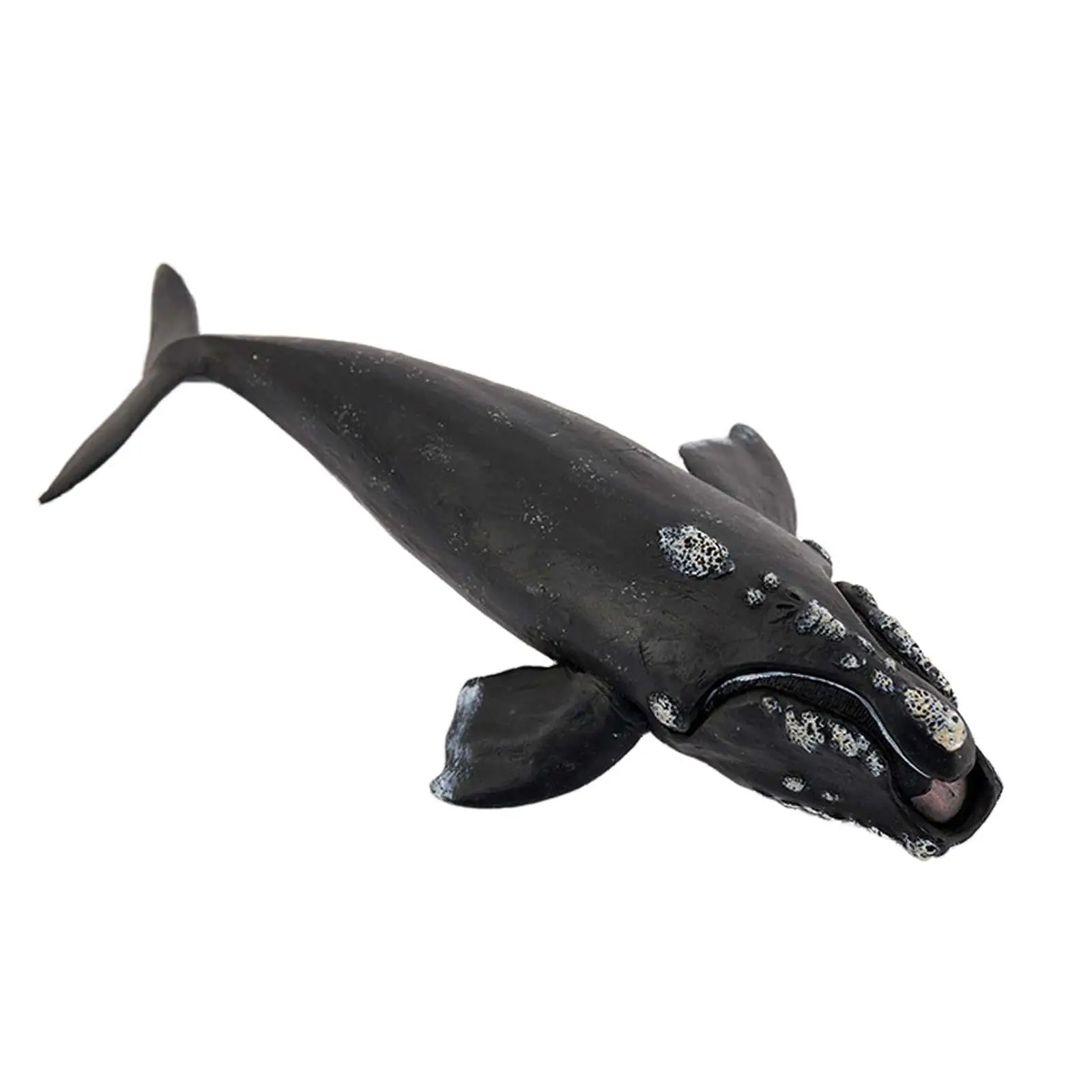Whale Action Figure Aquarium Simulation Role Play Sea Life Realistic Sea Model for Toddlers Children Kids Boys Girls Gift