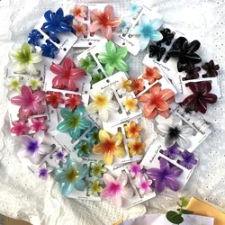 Pinzas flores multicolor cabello niña mujer
