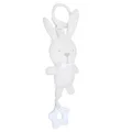 small rabbit