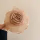 Champagne