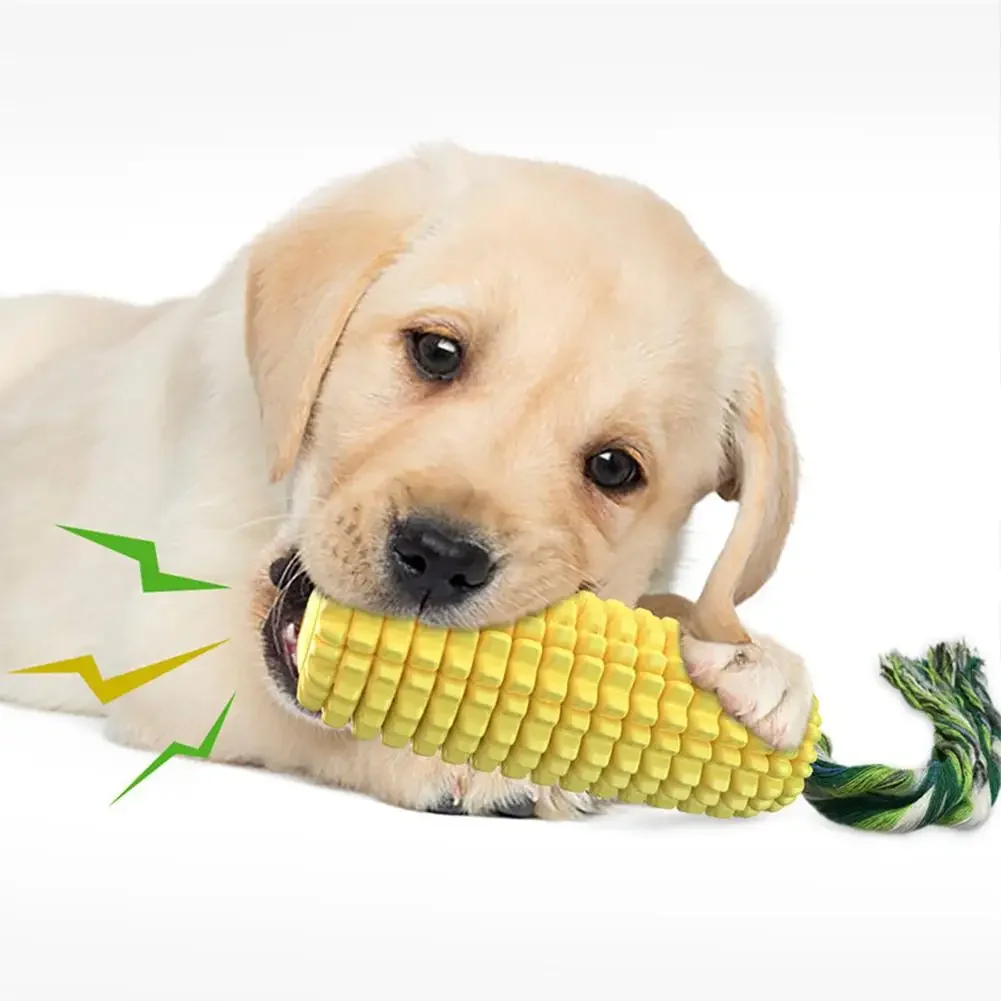 vocal corn