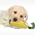 vocal corn