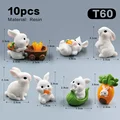 10pcs Rabbit-T60