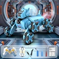 blue dual