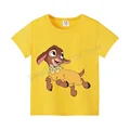 DSN 491 yellow
