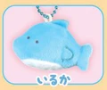 dolphin