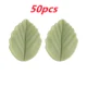 50pcs lint