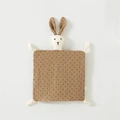 rabbit-16